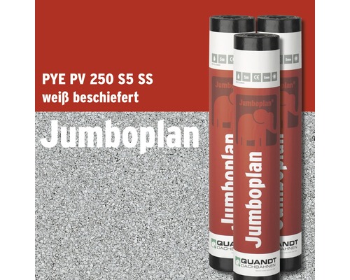 Quandt Bitumen Schweissbahn Jumboplan PYE PV 250 S5 Beschiefert weiss 5 x 1 m Rolle = 5 m²