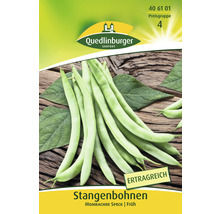 Stangenbohnen ' Bohne ' Quedlinburger Gemüsesamen-thumb-0
