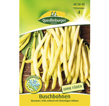 Buschbohnen ' Bohne ' Quedlinburger Gemüsesamen-thumb-0