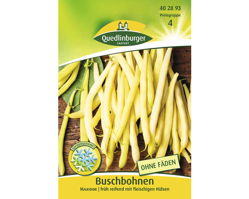 Buschbohnen ' Bohne ' Quedlinburger Gemüsesamen-0