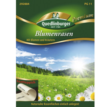 Blumenrasen Quedlinburger Blumensamen und Kräutersamen Saatteppich 20x300 cm-thumb-0