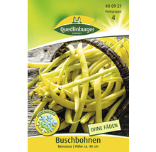 Buschbohnen ' Bohnen ' Quedlinburger Gemüsesamen-thumb-0