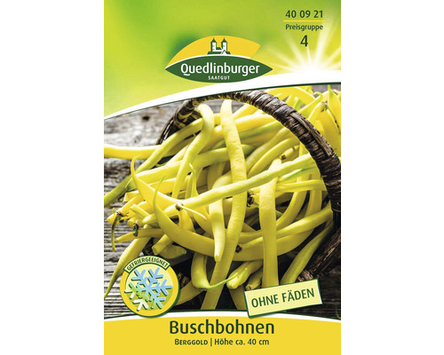 Buschbohnen ' Bohnen ' Quedlinburger Gemüsesamen-0