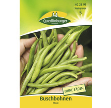 Buschbohnen ' Bohne ' Quedlinburger Gemüsesamen-thumb-0