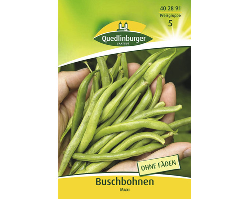 Buschbohnen ' Bohne ' Quedlinburger Gemüsesamen-0