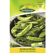 Erbsen ' Erbse ' Quedlinburger Gemüsesamen-thumb-0