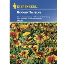 Gründünger Boden-Therapie Kiepenkerl 10 g-thumb-0