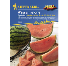 Wassermelone Kiepenkerl Gemüsesamen-thumb-0