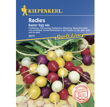 Radieschen Kiepenkerl Gemüsesamen-thumb-0