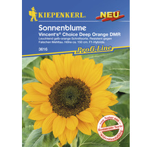 Sonnenblume Kiepenkerl Blumensamen-thumb-0