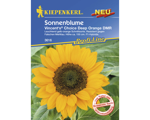 Sonnenblume Kiepenkerl Blumensamen-0