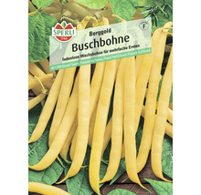 Buschbohnen Sperli Gemüsesamen-thumb-0