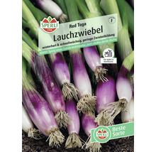 Lauch Sperli Gemüsezwiebel-thumb-0
