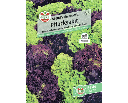 Kopfsalat Sperli Gemüsesamen Salatsamen-0