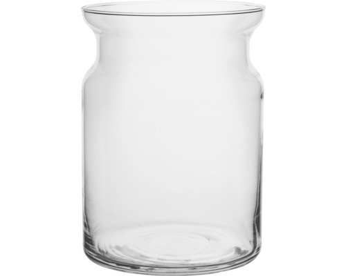 Pflanzvase Glas 18 x 0 x 25 cm transparent