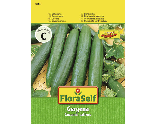 Gurke 'Gergana' FloraSelf samenfestes Saatgut Gemüsesamen-0