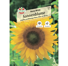 Sonnenblume Sperli Blumensamen-thumb-0