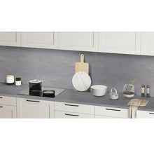 Küchenrückwand Hemlock Lava / Oxid 4100x640x15 mm-thumb-3