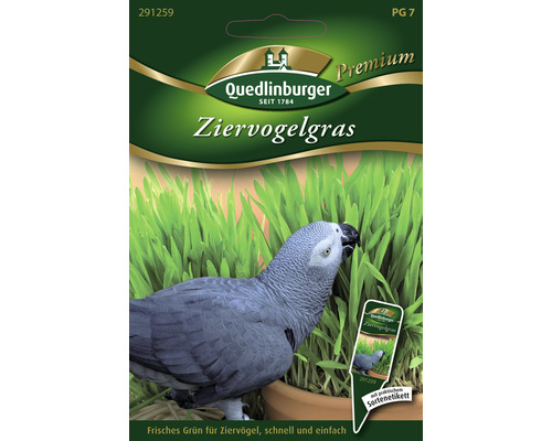 Ziergras Vogelziergras Gründünger 25 g für ca. 10 Töpfe-0