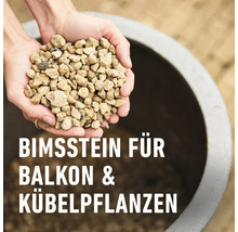 BIO Granuplant Drainage- & Pflanzgranulat Compo 10 L 100% natürlicher Bimsstein nachhaltige Blähton Alternative-thumb-3
