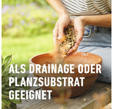 BIO Granuplant Drainage- & Pflanzgranulat Compo 10 L 100% natürlicher Bimsstein nachhaltige Blähton Alternative-thumb-4