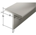 T-Profil Stahl 20x20x3 mm, 2 m