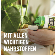 BIO Grünpflanzendünger und Palmendünger Compo 500 ml mineralischer Flüssigdünger 500 ml organischer Flüssigdünger-thumb-3