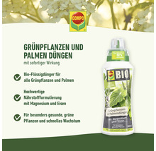 BIO Grünpflanzendünger und Palmendünger Compo 500 ml mineralischer Flüssigdünger 500 ml organischer Flüssigdünger-thumb-6