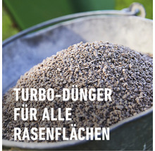 Turbo-Rasendünger Compo 5kg für 130 m²-thumb-2