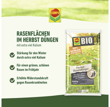 Bio Herbst-Rasendünger Compo Bio 20 kg 400 m² organischer Dünger-thumb-8
