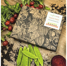 Bio Gemüse Saatgutpaket meine ernte Bunte Balkonhaltung 5 Sorten, Radieschen, Mangold, Zuckererbse, Rote Bete und Blattsalat-Mischung, samenfestes Saatgut-thumb-5