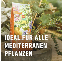 Langzeitdünger für mediterrane Pflanzen Compo 1,5 kg-thumb-4
