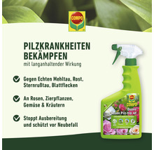 Rosen-Pilzfrei Compo Duaxo 750 ml Anwendungsfertiges Pumpspray-thumb-3