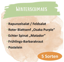 Bio Gemüse Saatgutpaket meine ernte Winterschmaus mit 5 Sorten Winterblattgemüse samenfestes Saatgut-thumb-1