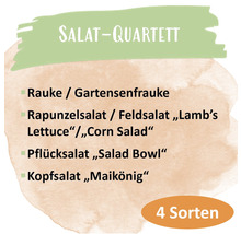 Bio Salat Saatgutpaket meine ernte Salatquartett mit 4 Sorten, Rauke, Feldsalat, Pflücksalat und Kopfsalat, samenfestes Saatgut-thumb-1