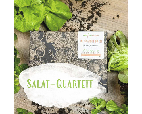 Bio Salat Saatgutpaket meine ernte Salatquartett mit 4 Sorten, Rauke, Feldsalat, Pflücksalat und Kopfsalat, samenfestes Saatgut-0