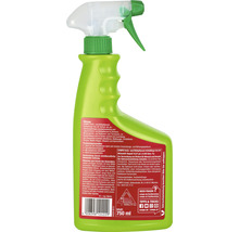 Grün- und Blühpflanzen Schädlings-frei Compo 750 ml Anwendungsfertiges Pumpspray-thumb-1