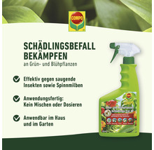 Grün- und Blühpflanzen Schädlings-frei Compo 750 ml Anwendungsfertiges Pumpspray-thumb-2