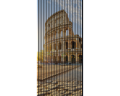 Akustikpaneel digital bedruckt Colosseum 1 19x1133x2400 mm Set = 2 Einzelpaneele
