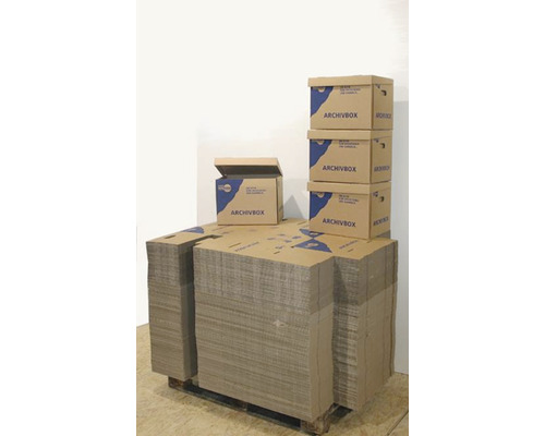 Palette Cargo Point Archivbox 400 x 320 x 300 mm 38 L, 200 Stück-0