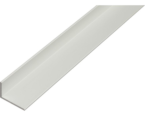 Winkelprofil Kaiserthal Aluminium silber 40x10x2 mm, 2 m