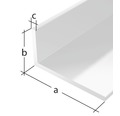 Winkelprofil PVC weiß 25x20x2 mm, 1 m