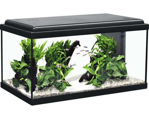 Aquarium aquatlantis Advance 60 mit LED-Beleuchtung, Filter, Heizer ohne Unterschrank schwarz