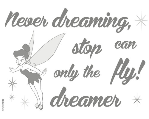 Wandtattoo Disney Edition 3 Never Stop dreaming 50 x 70 cm