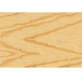 Remmers Holzschutzgrund farblos 2,5 l