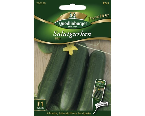 Gewächshausgurke 'Silor' Quedlinburger Gemüsesamen-0