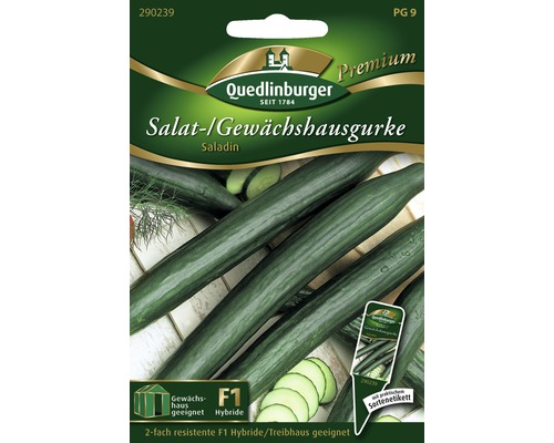 Gewächshausgurke 'Saladin' Quedlinburger Gemüsesamen