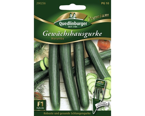 Gewächshausgurke 'Marumba' Quedlinburger Gemüsesamen-0