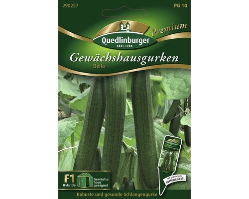 Gewächshausgurke 'Bella' Quedlinburger Gemüsesamen