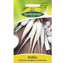 Radieschen 'Eiszapfen' Quedlinburger Gemüsesamen-thumb-0